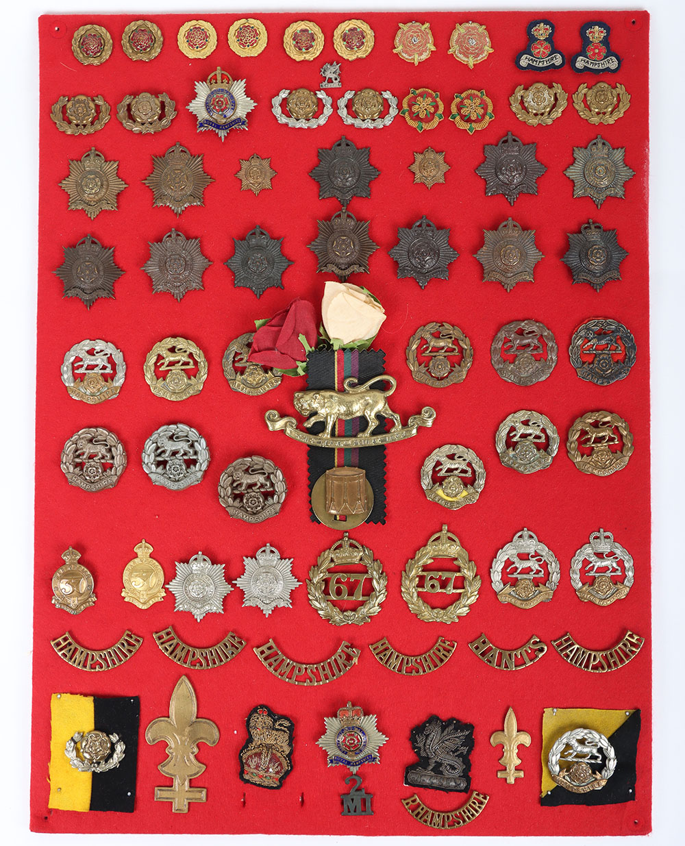 #98 – Display Board of Hampshire and Royal Hampshire Regiment Badges and Insignia